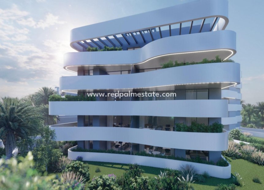 New Build - Apartment Penthouse -
Guardamar del Segura - El Raso