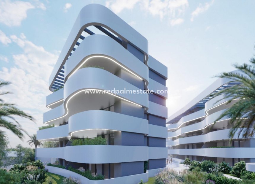 New Build - Apartment Penthouse -
Guardamar del Segura - El Raso