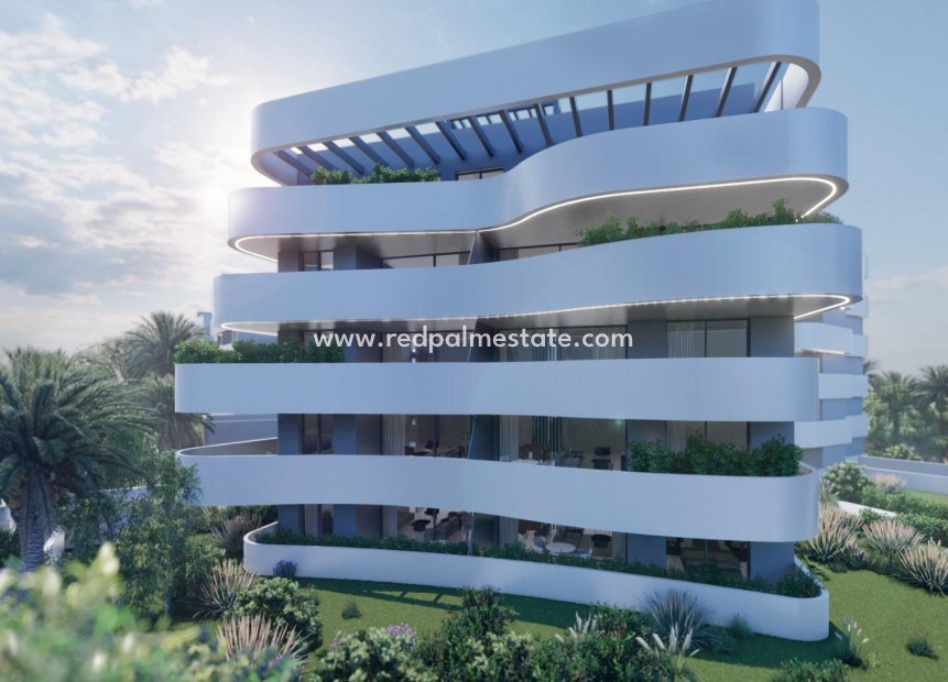 New Build - Apartment Penthouse -
Guardamar del Segura - El Raso