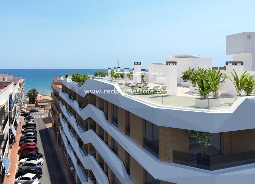 New Build - Apartment Penthouse -
Guardamar del Segura - Pueblo