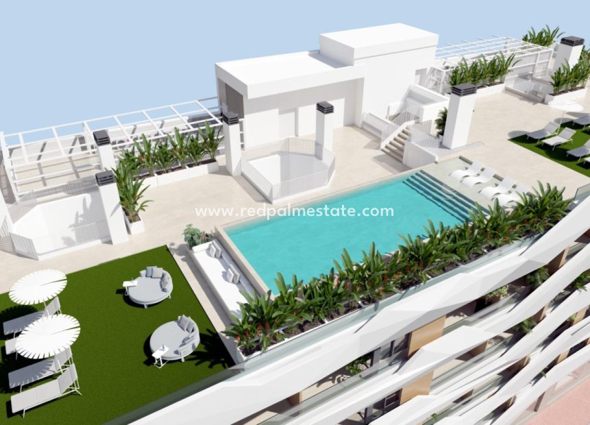 New Build - Apartment Penthouse -
Guardamar del Segura - Pueblo