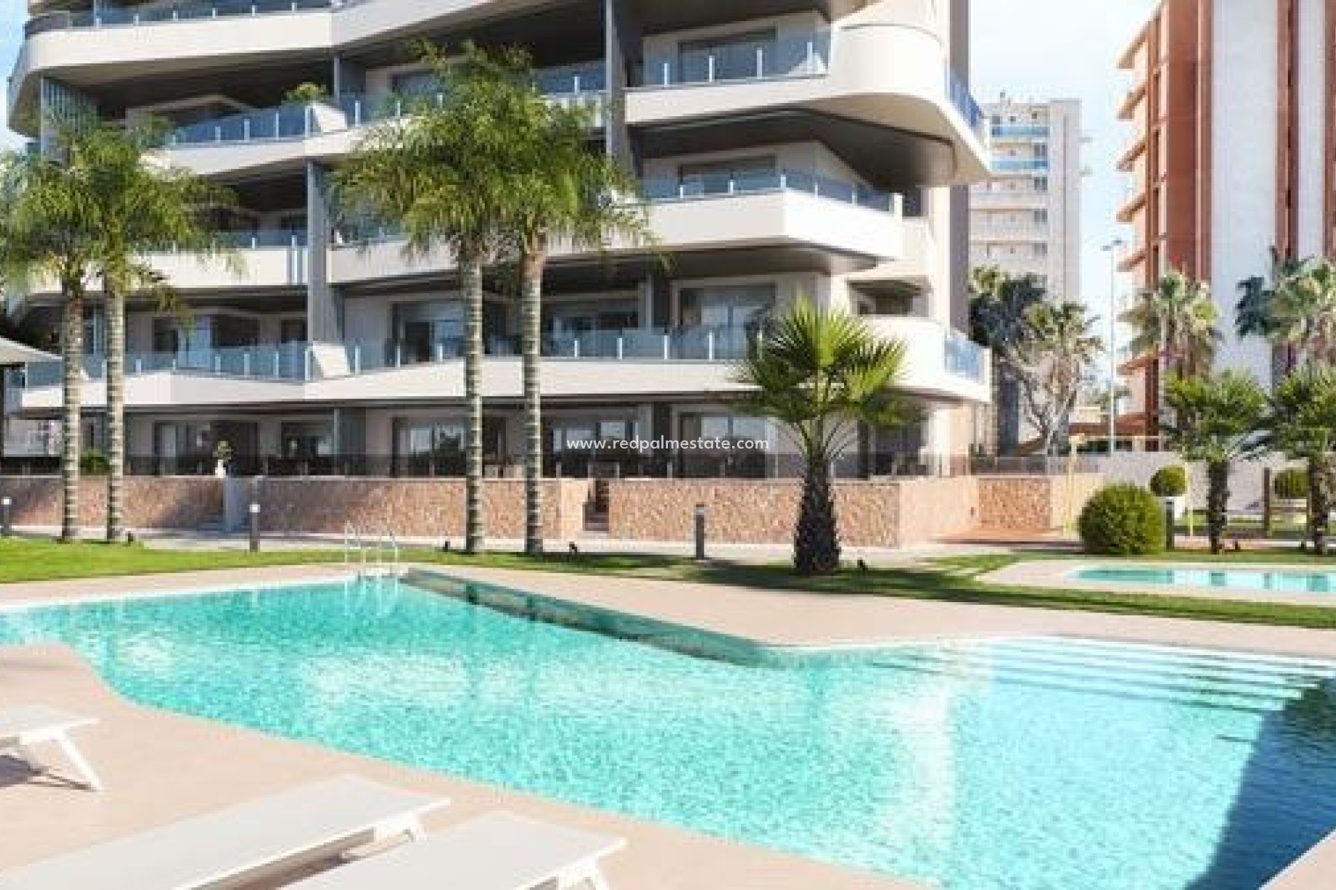 New Build - Apartment Penthouse -
Guardamar del Segura - Puerto