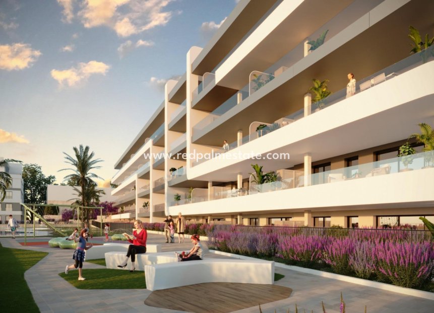 New Build - Apartment Penthouse -
Mutxamel - Bonalba-cotoveta