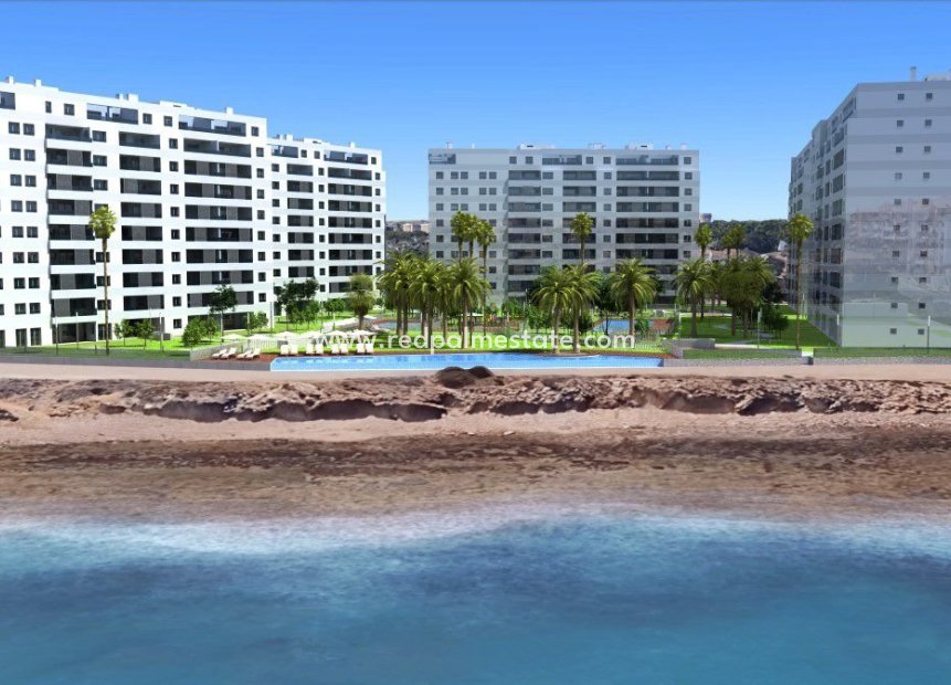 New Build - Apartment Penthouse -
Torrevieja - Punta Prima