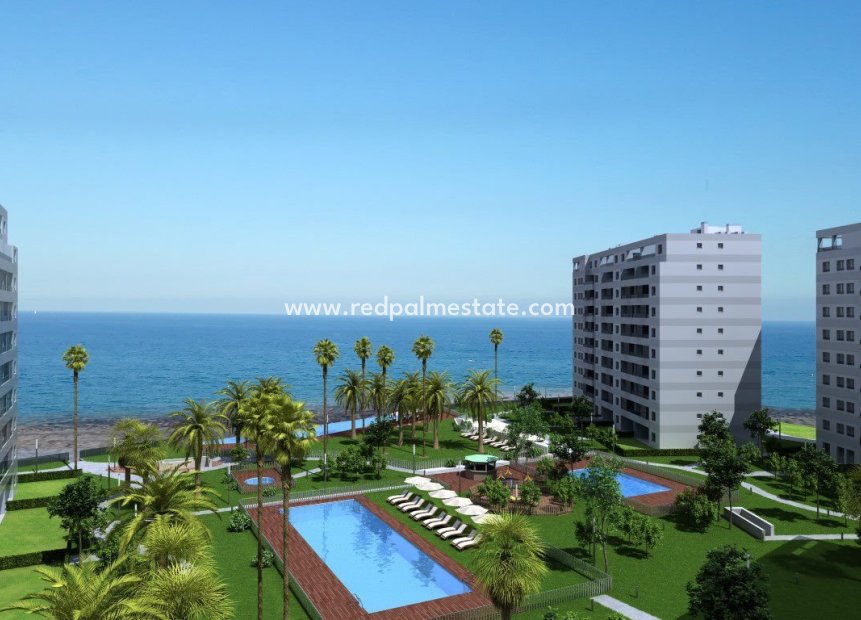 New Build - Apartment Penthouse -
Torrevieja - Punta Prima