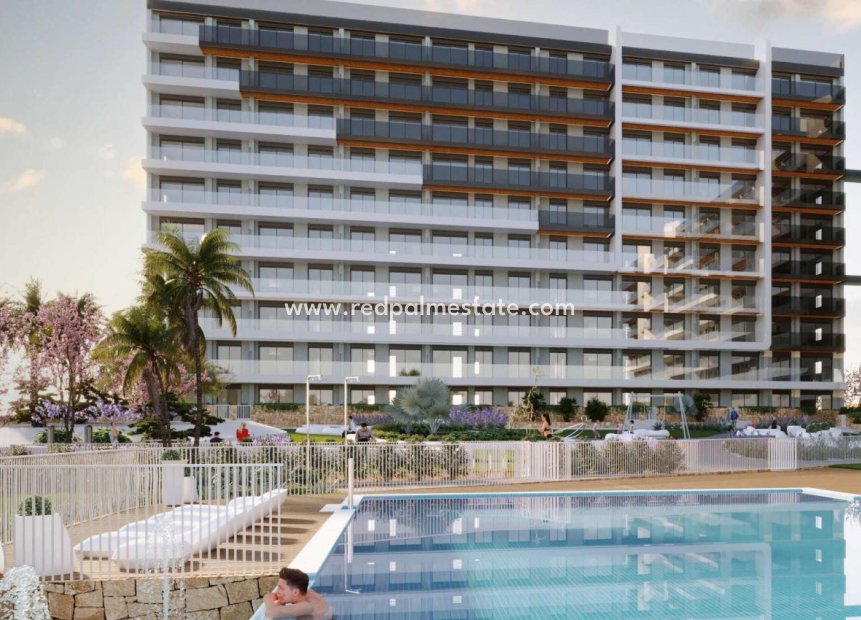 New Build - Apartment Penthouse -
Torrevieja - Punta Prima