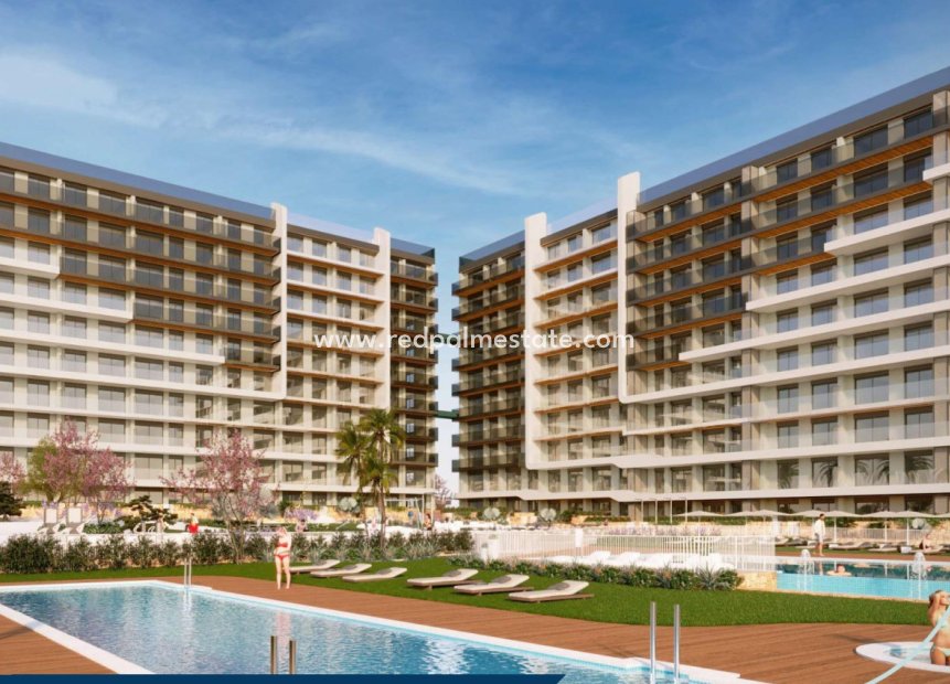 New Build - Apartment Penthouse -
Torrevieja - Punta Prima