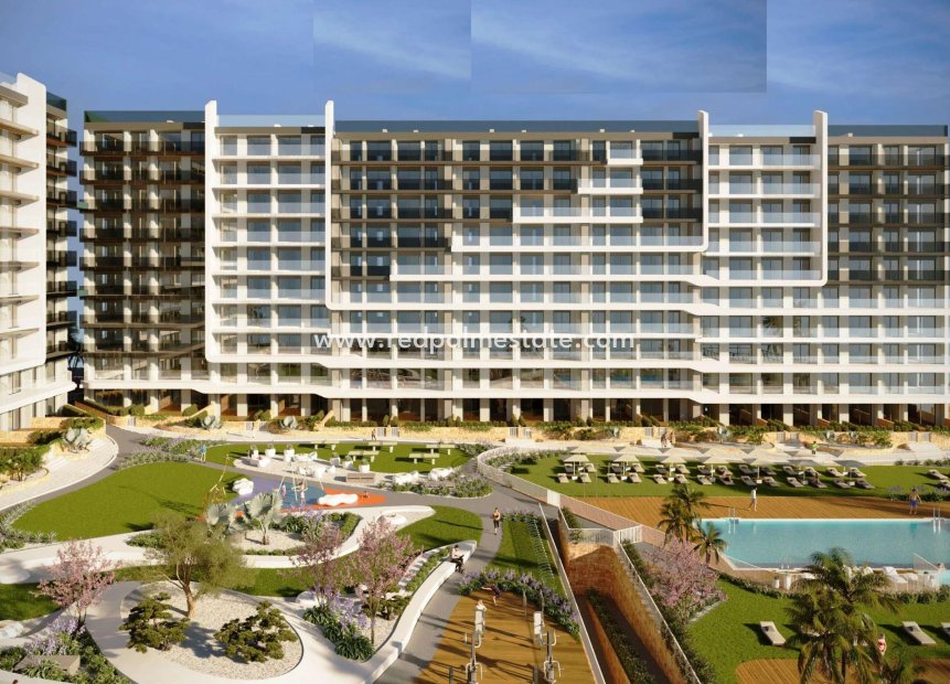 New Build - Apartment Penthouse -
Torrevieja - Punta Prima