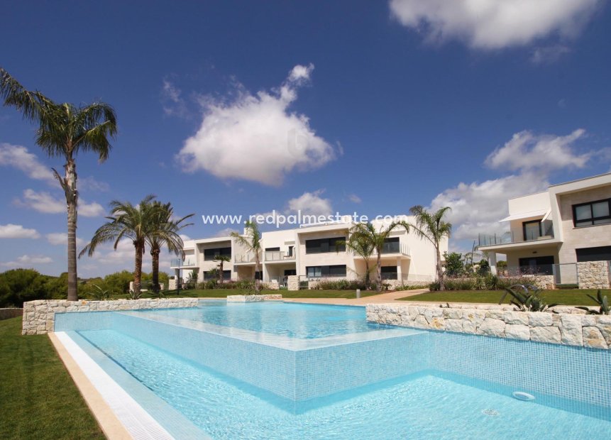 New Build - Apartment -
Pilar de la Horadada - Lo romero golf