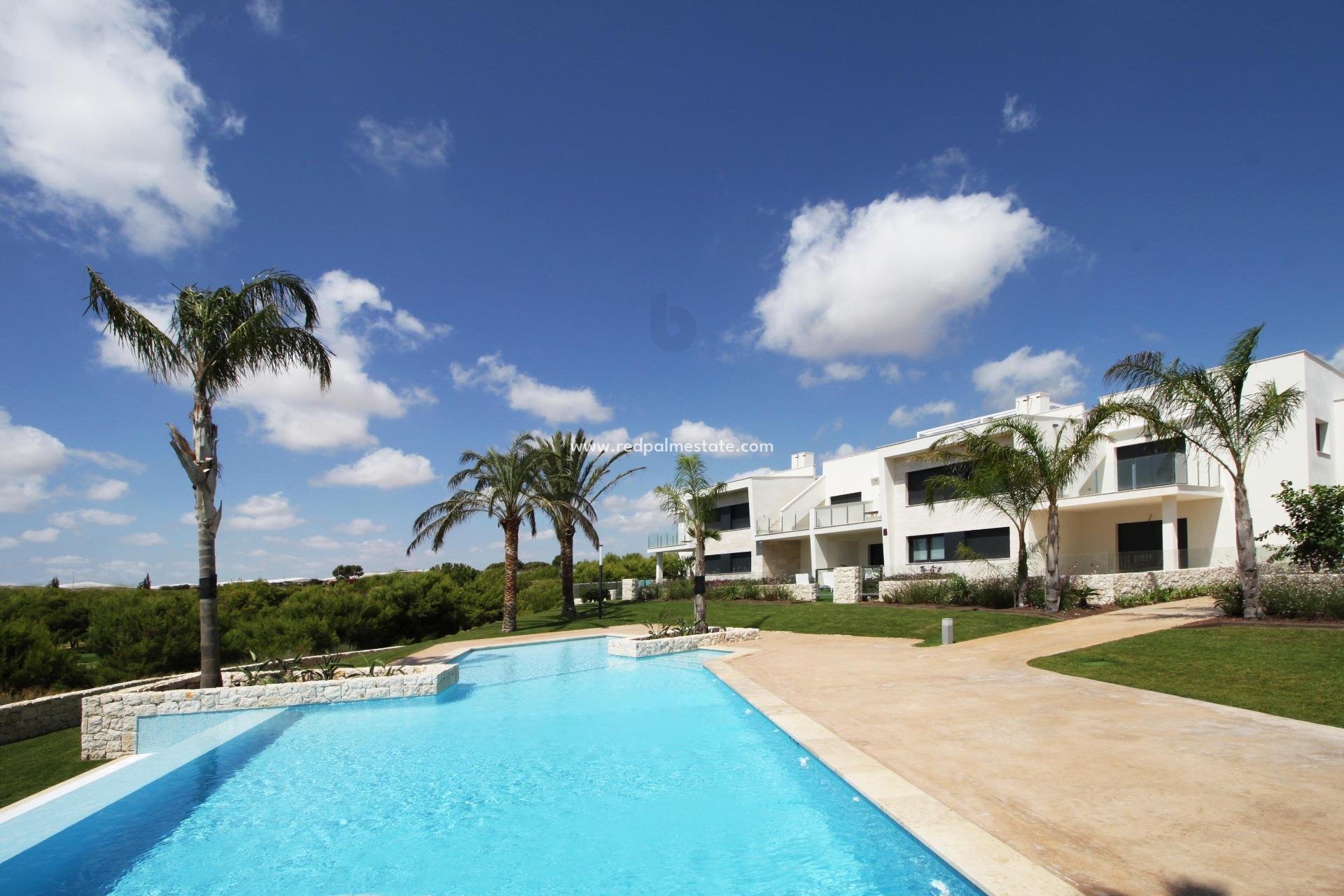 New Build - Apartment -
Pilar de la Horadada - Lo romero golf