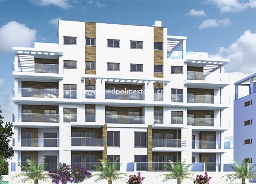 New Build - Apartment -
Pilar de la Horadada - Mil Palmeras