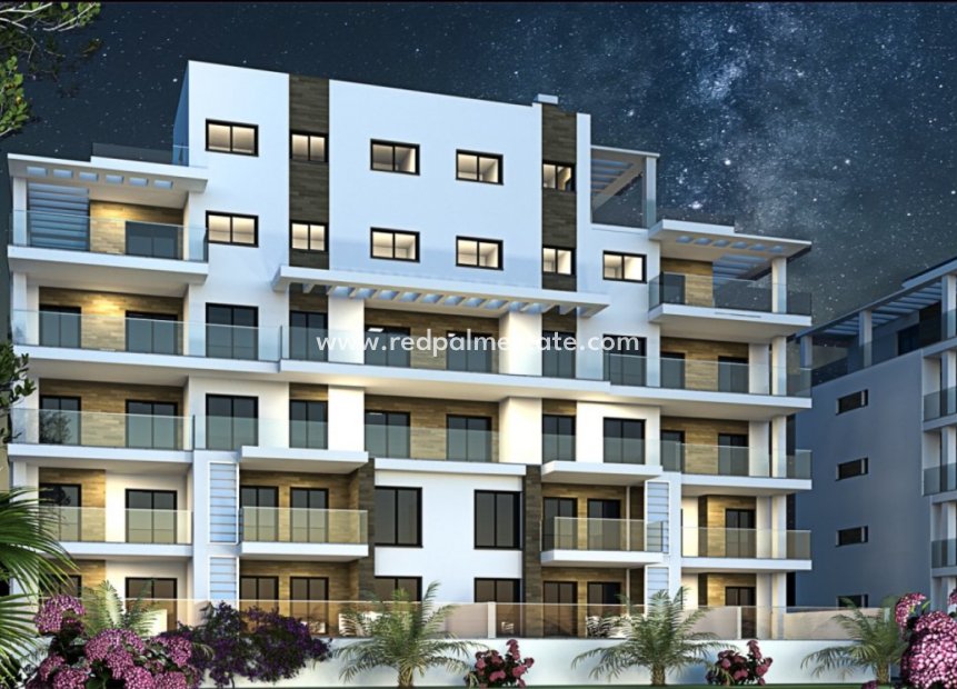 New Build - Apartment -
Pilar de la Horadada - Mil Palmeras