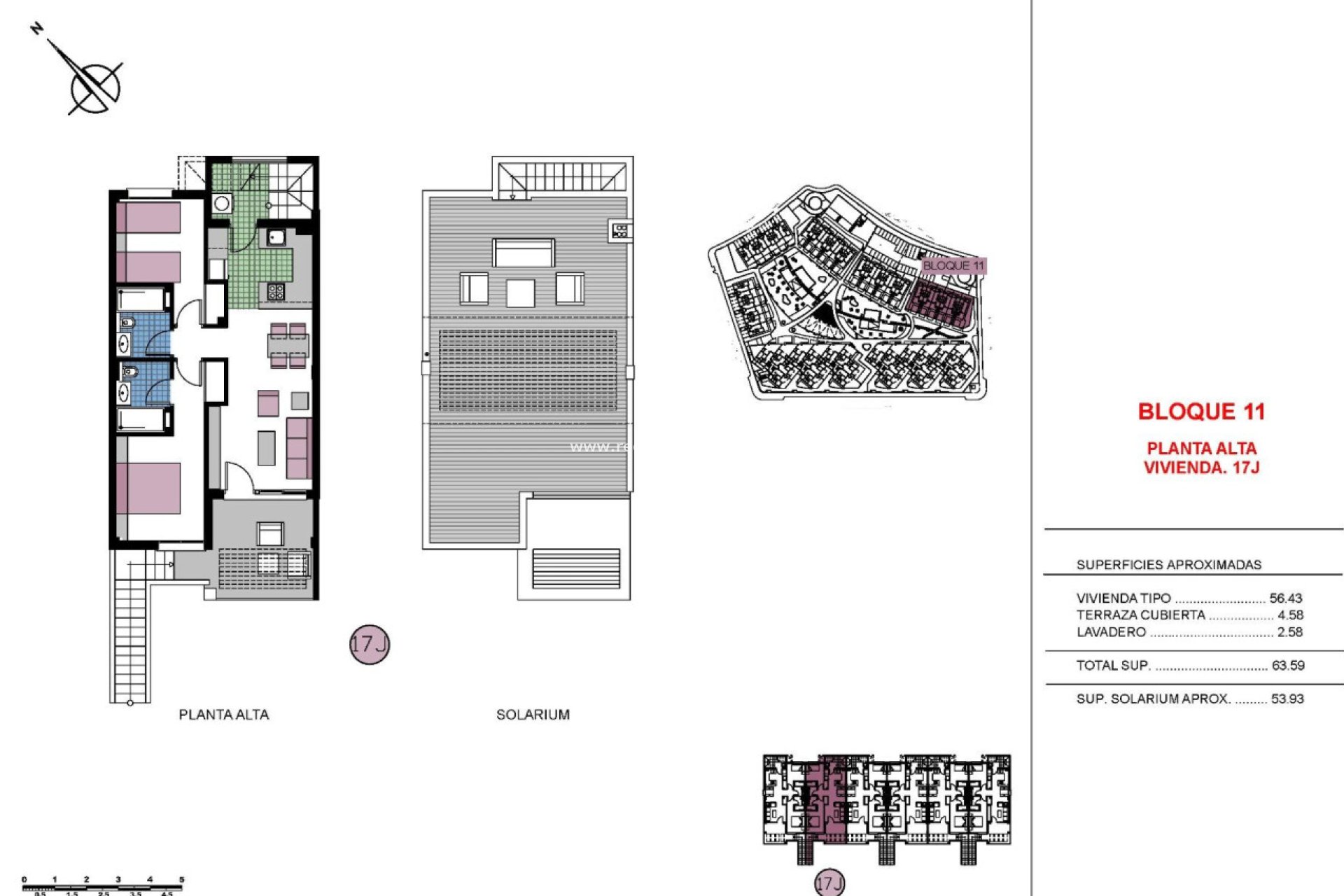 New Build - Apartment -
Pilar de la Horadada - Mil Palmeras