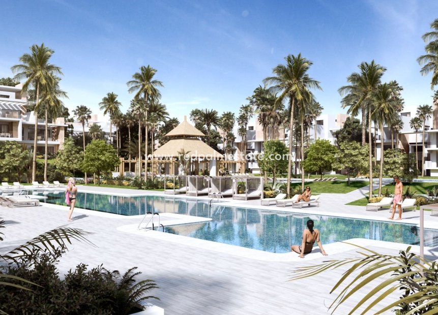 New Build - Apartment -
Reinoso