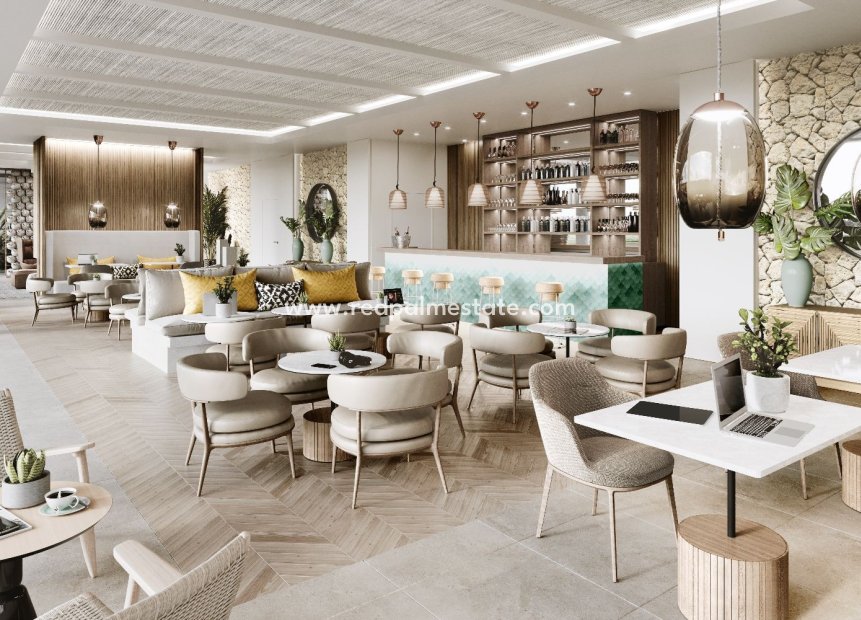 New Build - Apartment -
Reinoso