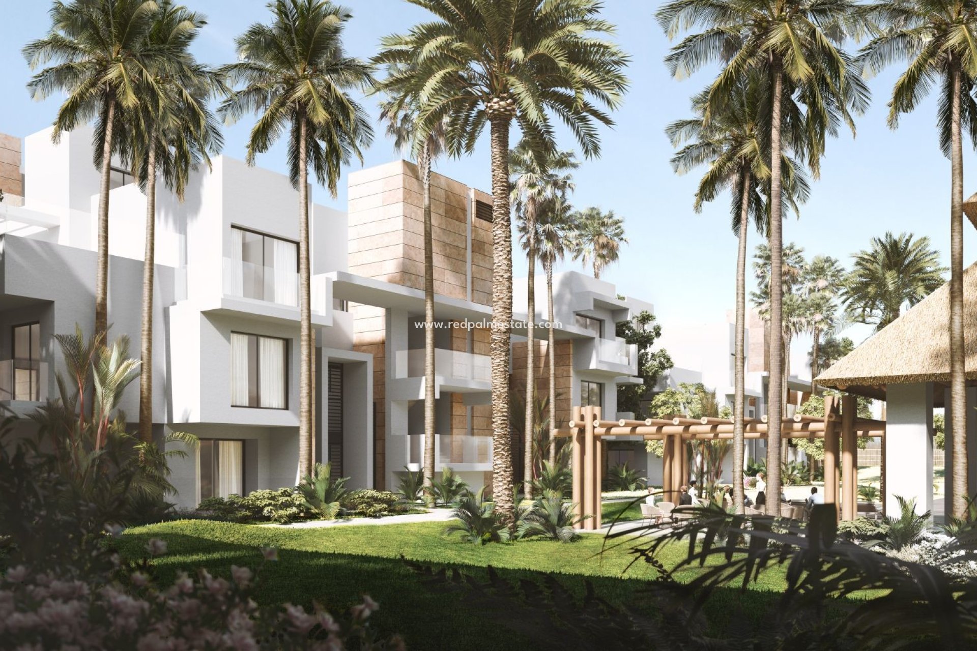 New Build - Apartment -
Reinoso