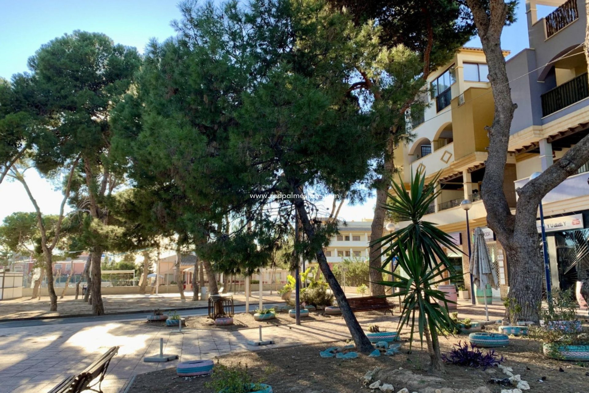 New Build - Apartment -
SAN JAVIER - Roda