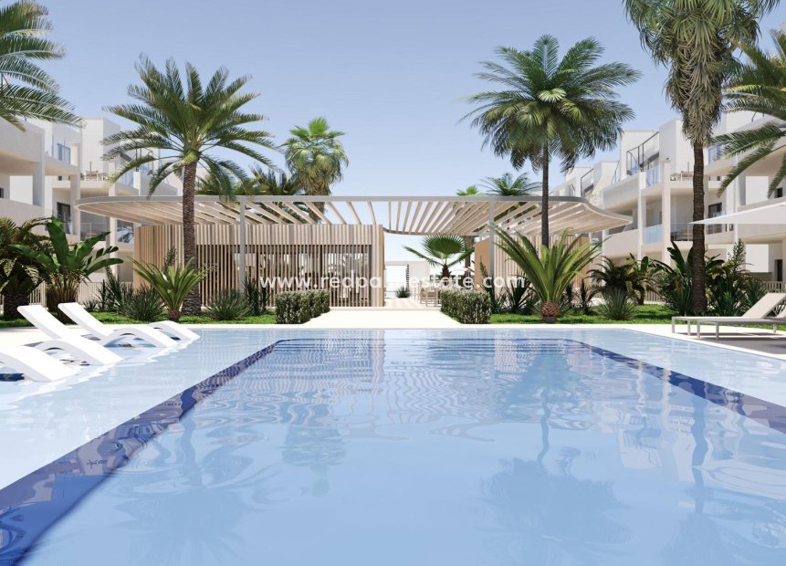 New Build - Apartment -
Torre Pacheco - San Cayetano