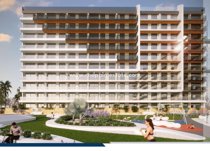 New Build - Apartment -
Torrevieja - Punta Prima