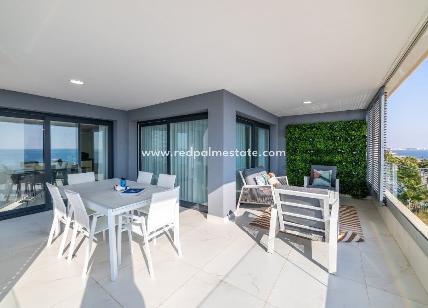 New Build - Apartment -
Torrevieja - Punta Prima