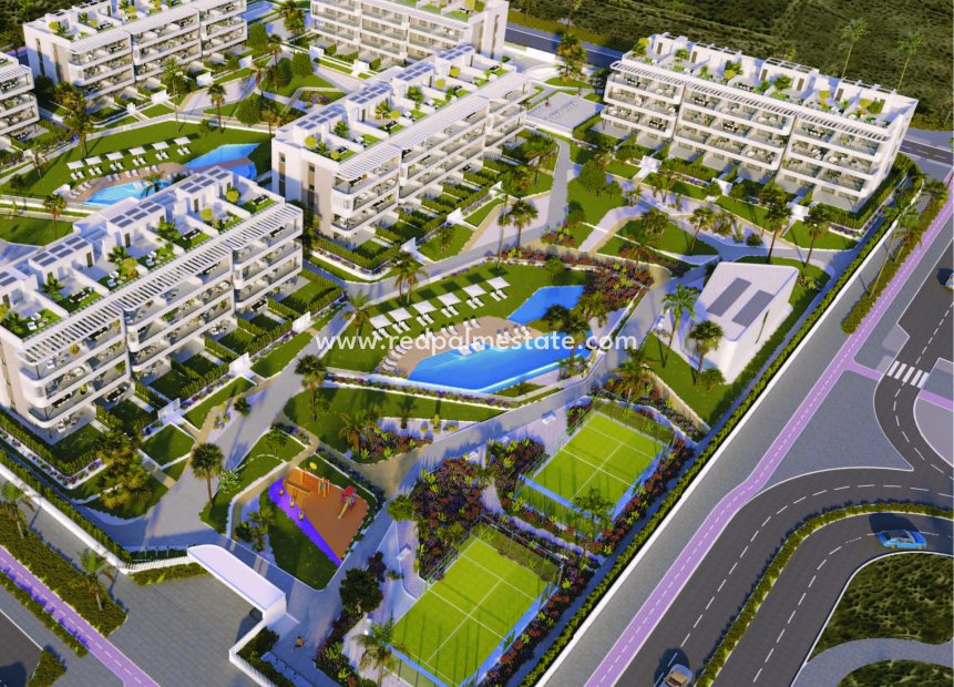 New Build - Apartment -
Torrevieja