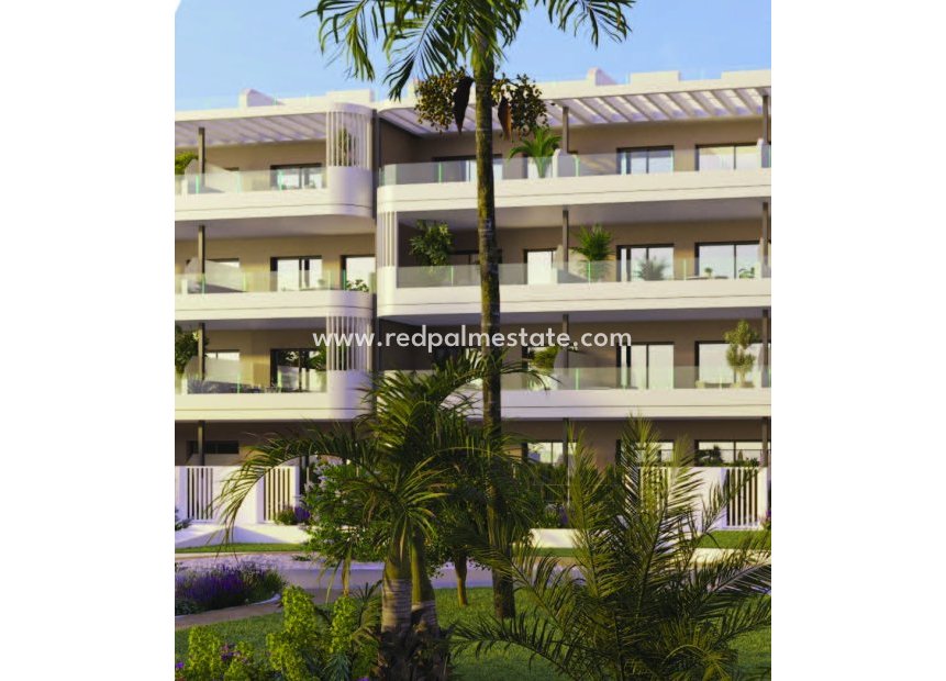 New Build - Apartment -
Torrevieja