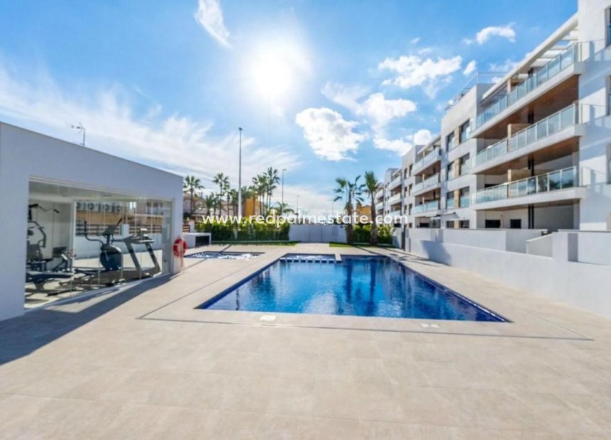 New Build - Apartment -
Torrevieja