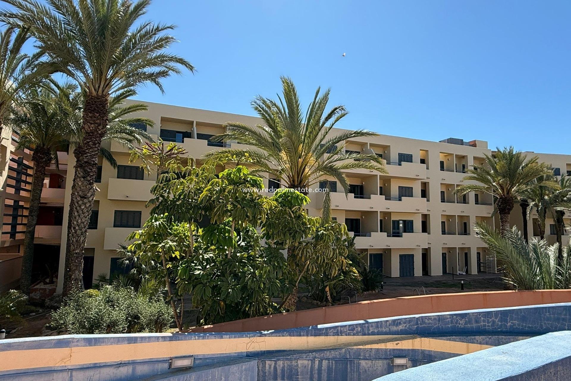 New Build - Apartment -
Vera Playa - Puerto del Rey