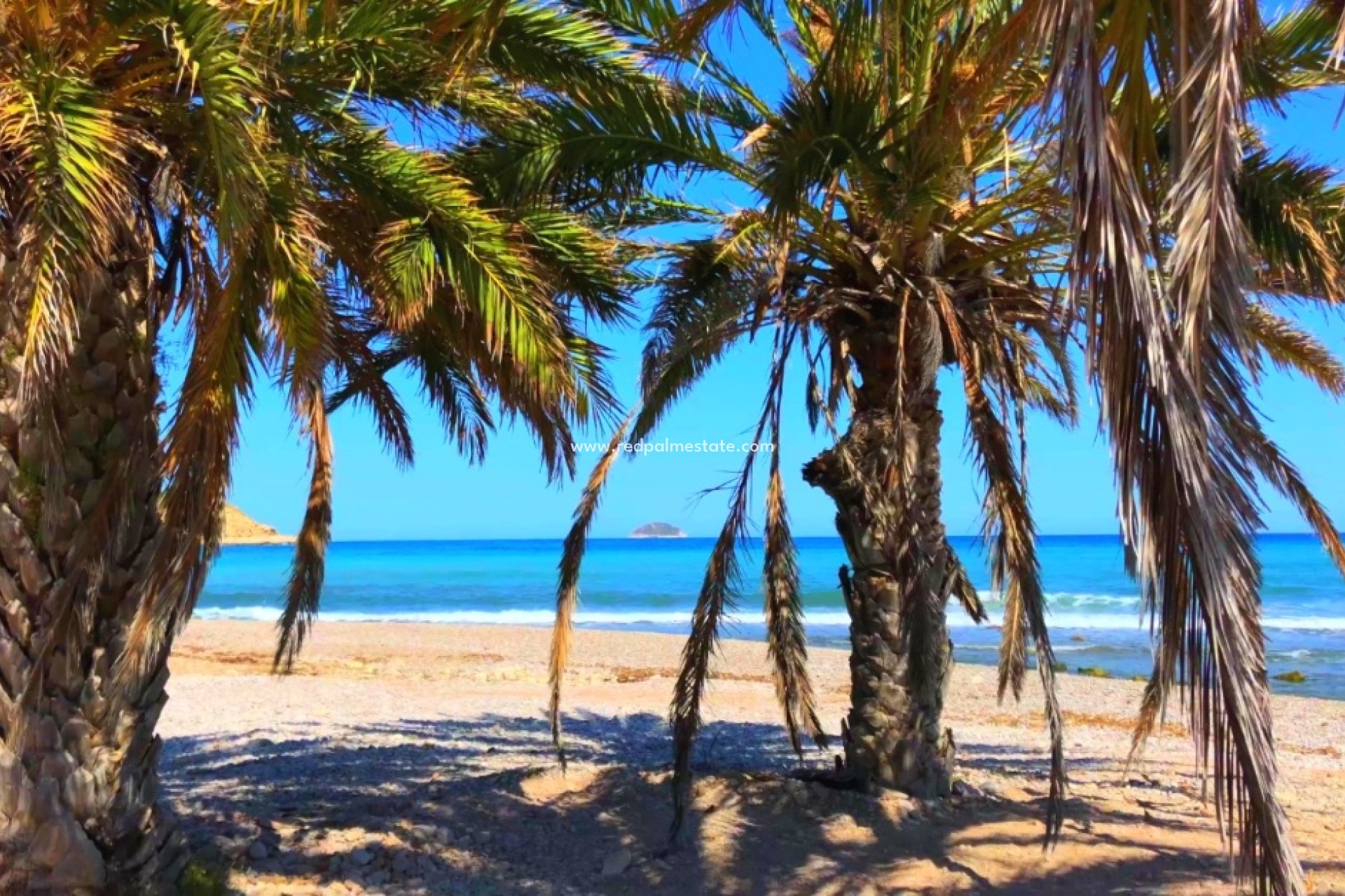 New Build - Apartments -
Benidorm - Alicante