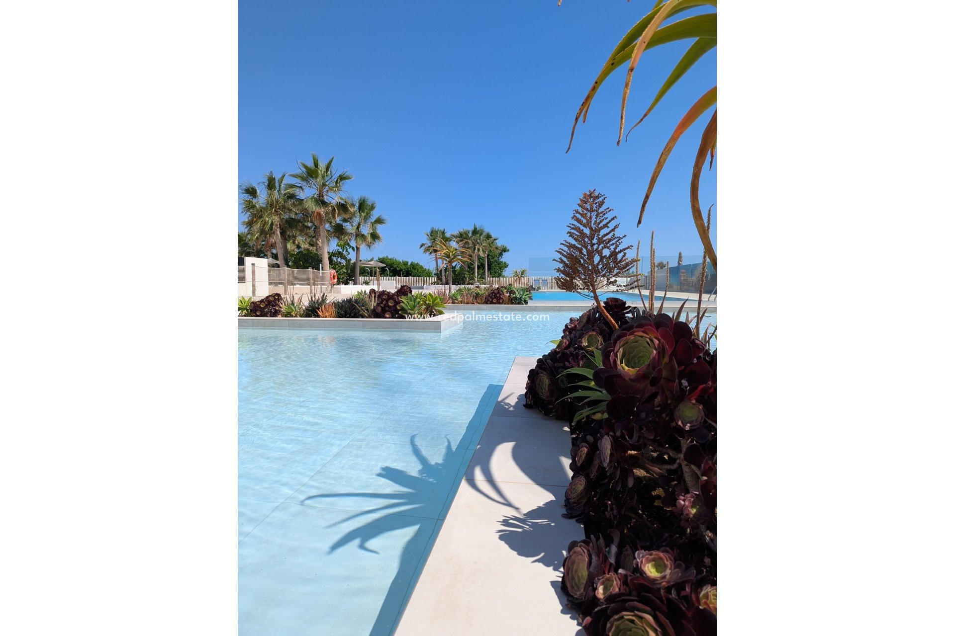 New Build - Apartments -
Denia