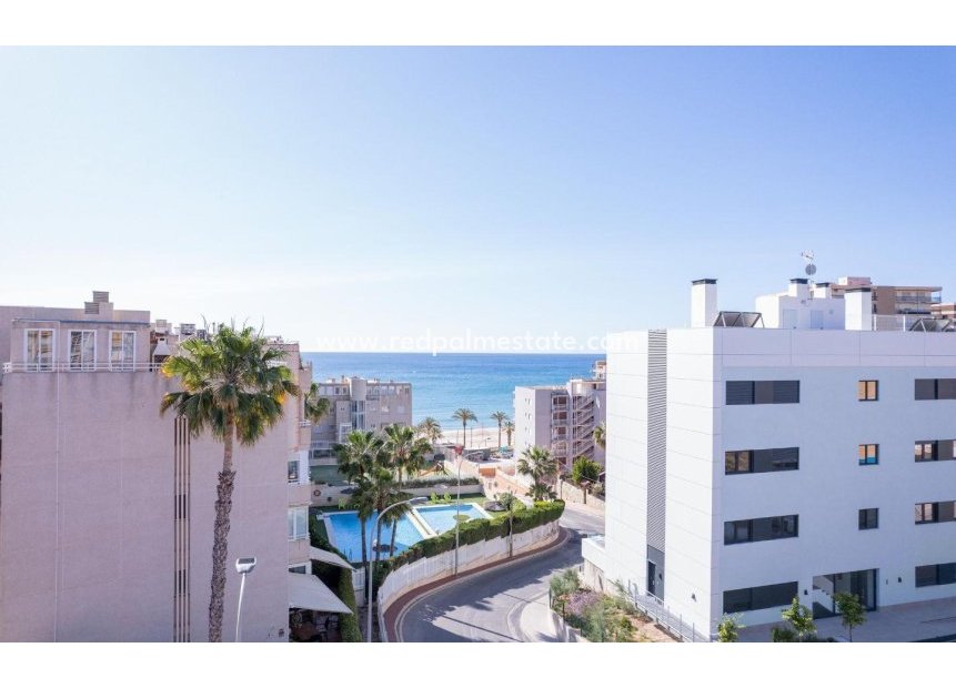 New Build - Apartments -
El Campello - Muchavista