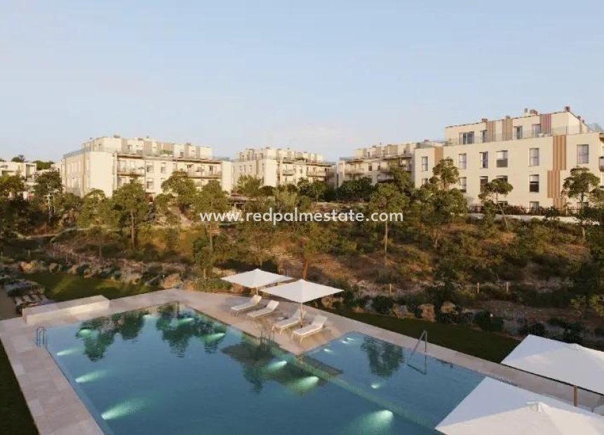 New Build - Apartments -
Godella - Campolivar