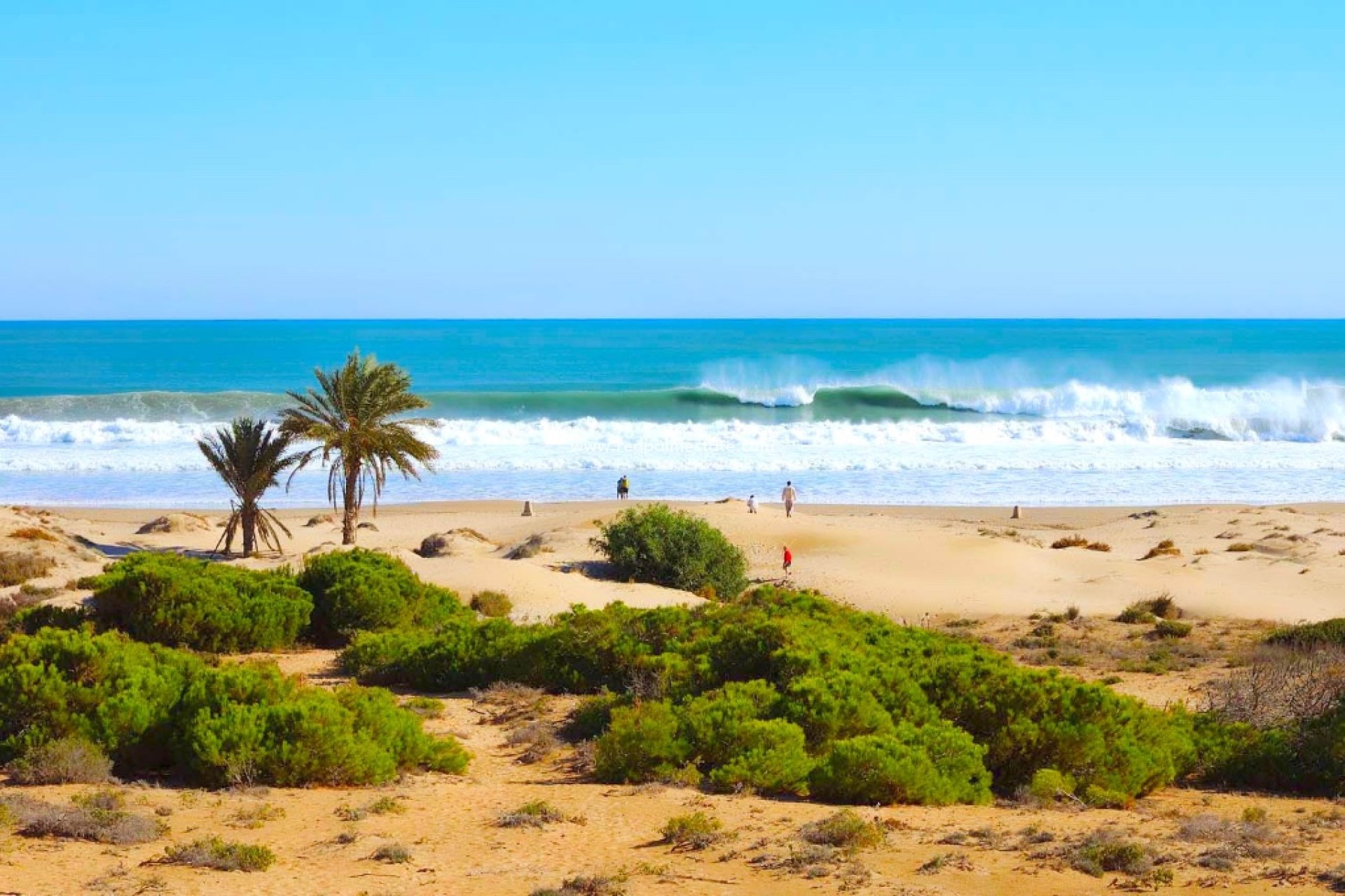 New Build - Apartments -
Guardamar del Segura - Guardamar