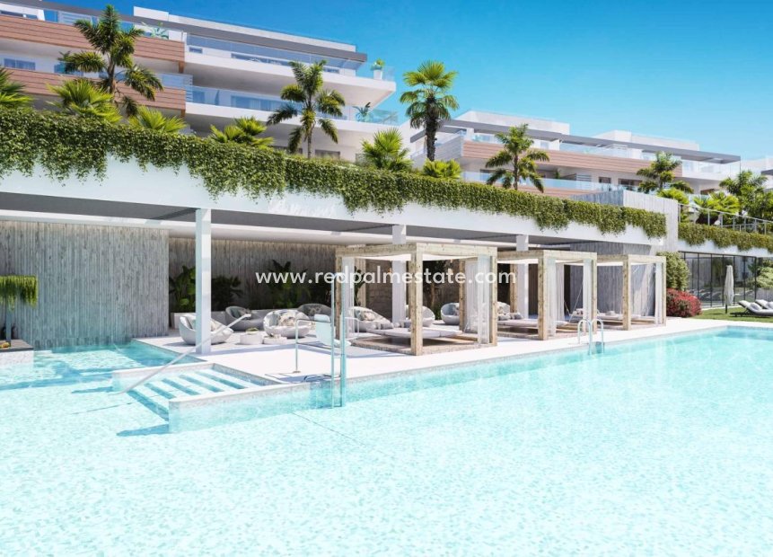 New Build - Apartments -
Marbella - Los Monteros