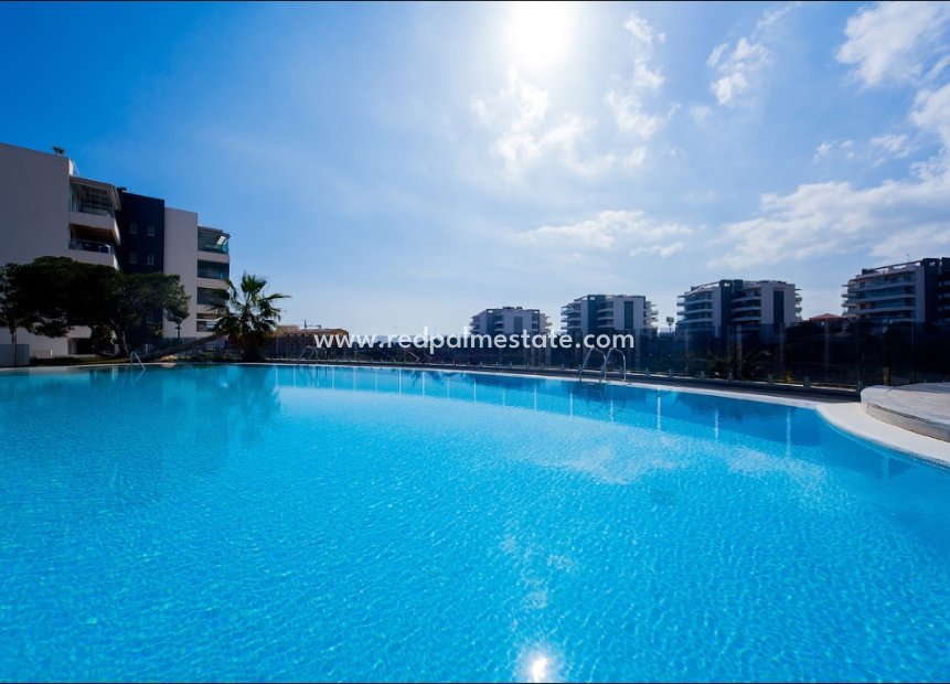 New Build - Apartments -
Orihuela Costa - Villamartín