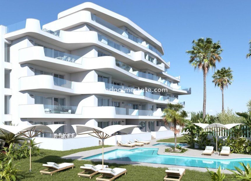 New Build - Apartments -
Pilar de la Horadada - Mil Palmeras