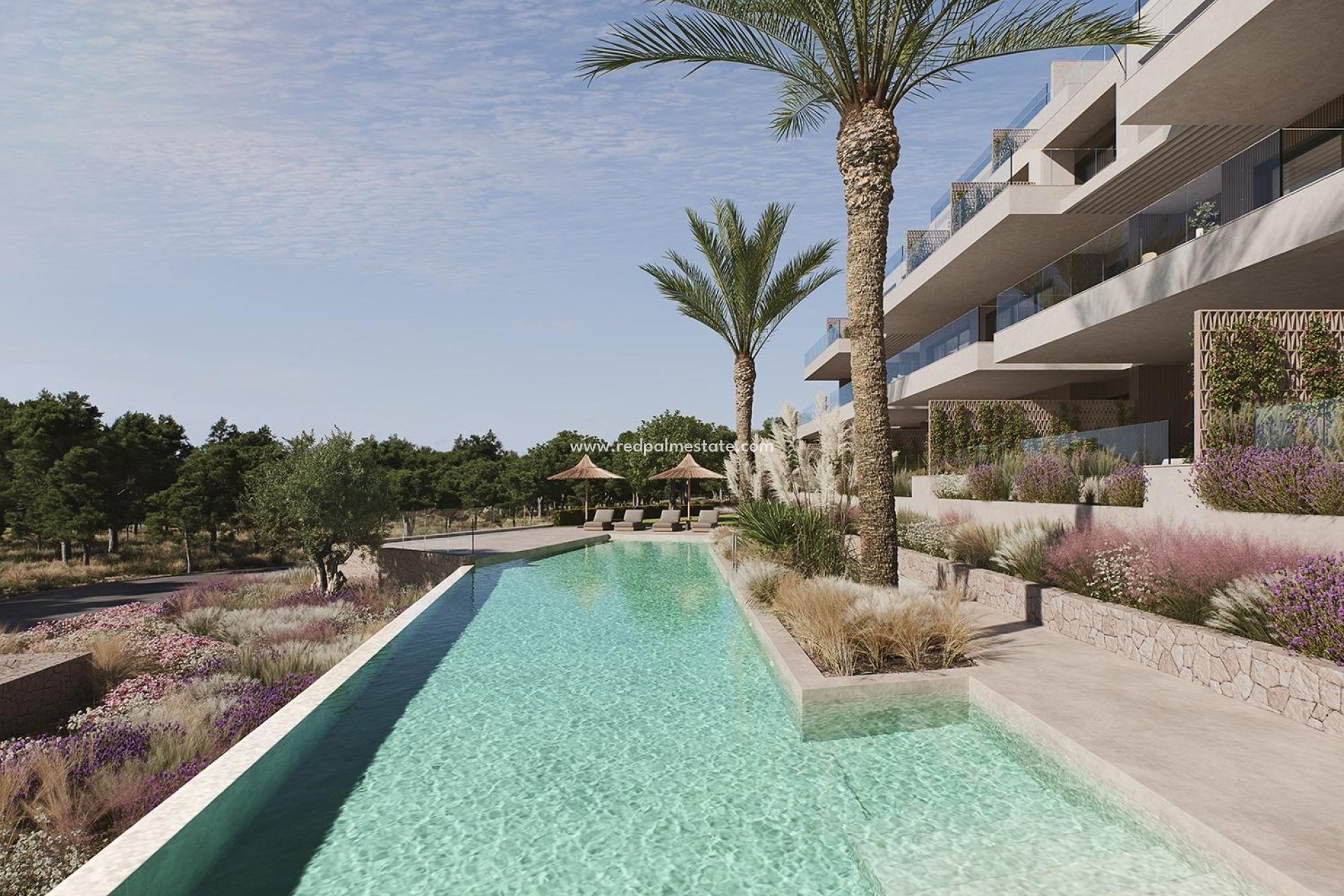 New Build - Apartments -
San Miguel de Salinas - Las Colinas Golf