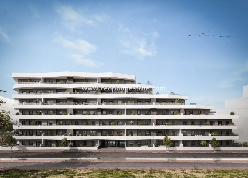 New Build - Apartments -
San Miguel de Salinas - San Miguel Salinas