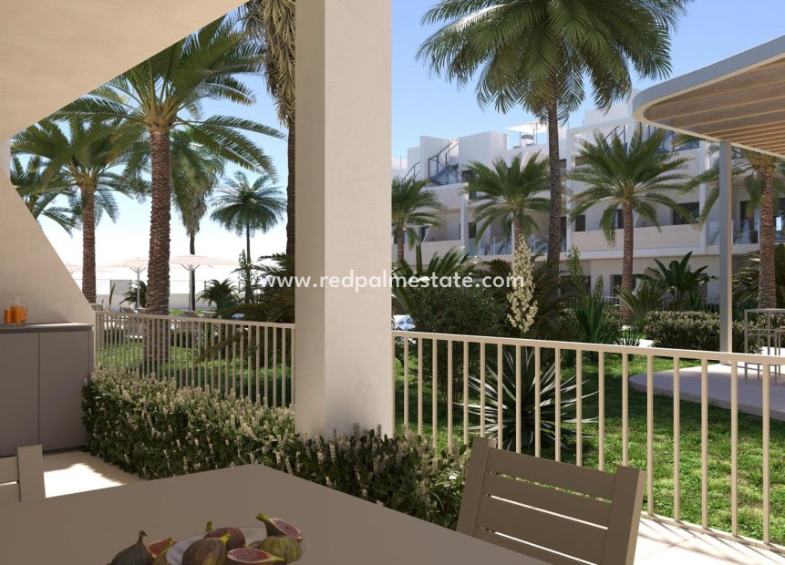 New Build - Apartments -
Torre Pacheco - San Cayetano