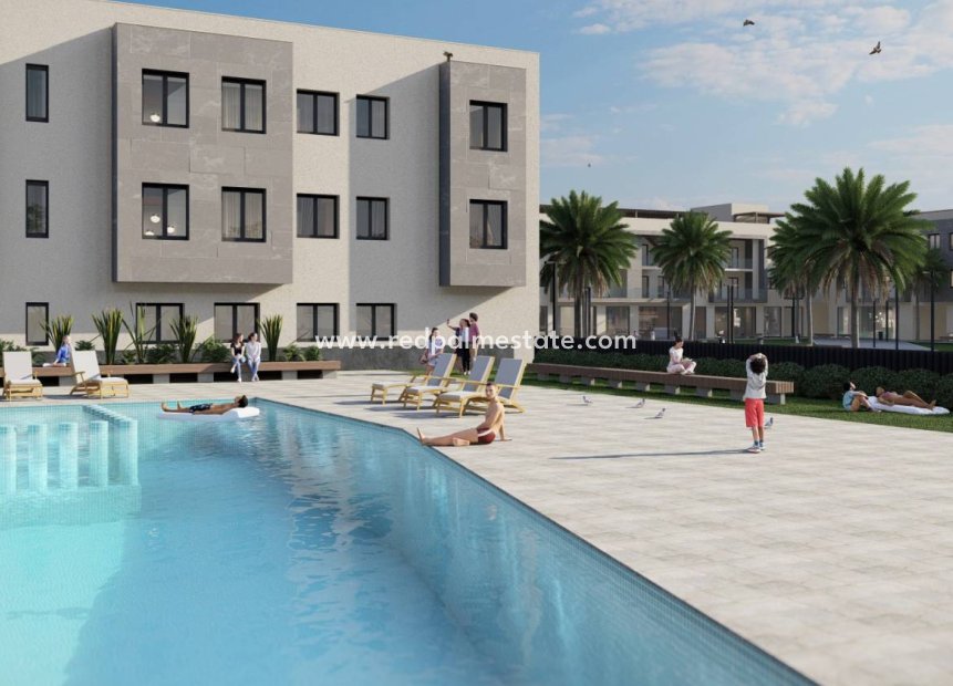 New Build - Apartments -
Torre Pacheco
