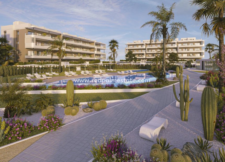 New Build - Apartments -
Torrevieja - La Hoya