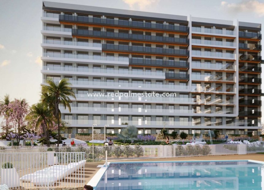 New Build - Apartments -
Torrevieja - Punta prima