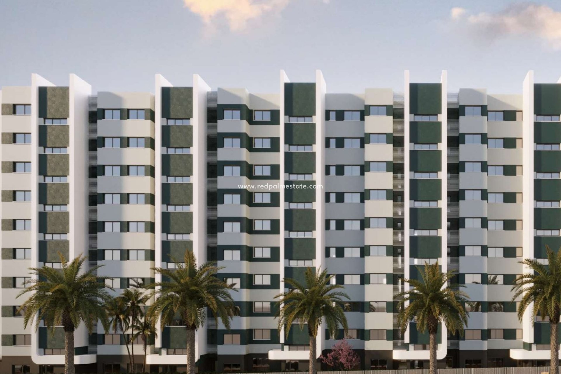 New Build - Apartments -
Torrevieja - Punta prima