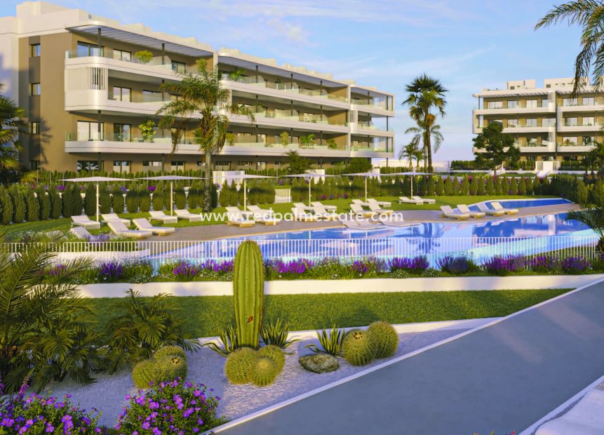 New Build - Apartments -
Torrevieja