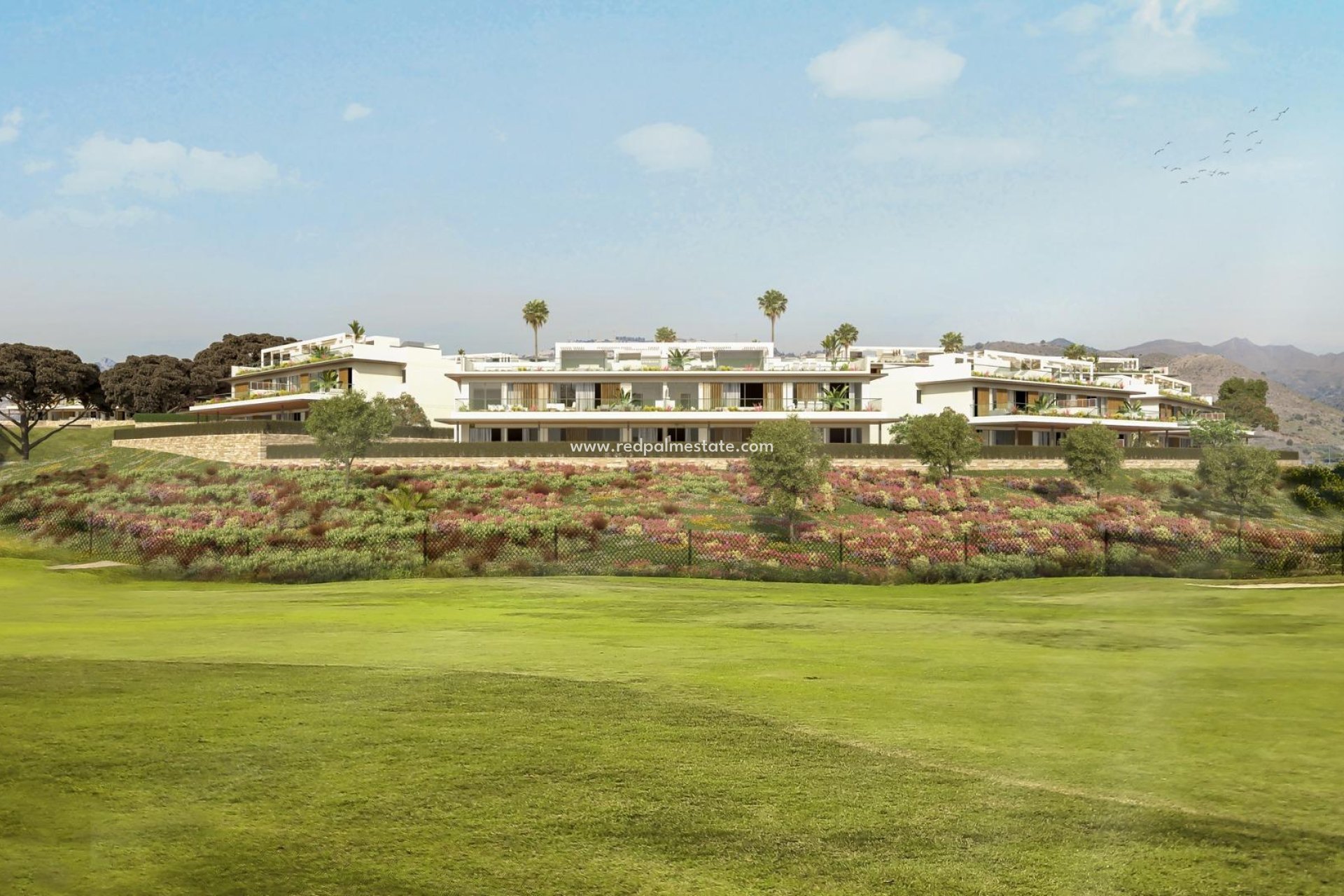 New Build - Bungalow -
Marbella - Los Montesinos