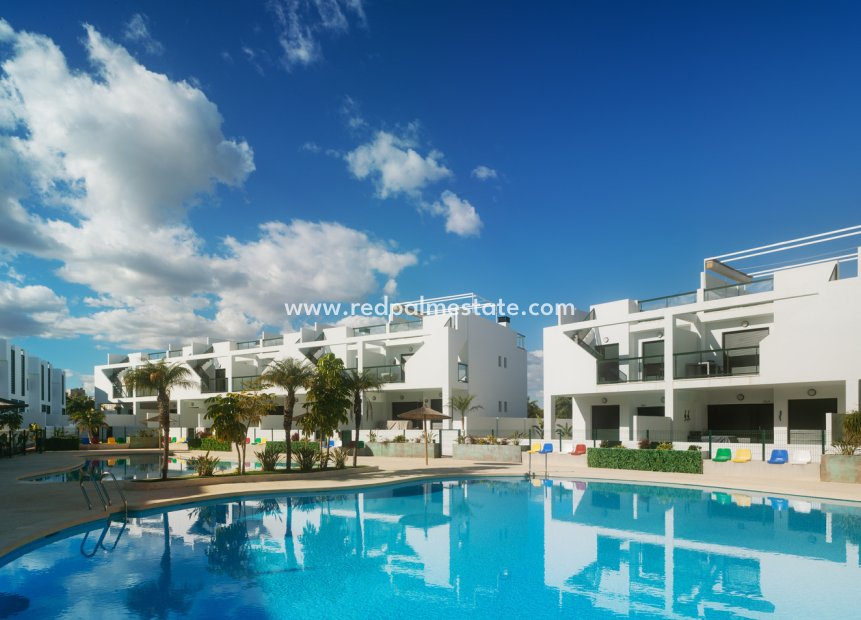 New Build - Bungalow -
Torre de la Horadada - Mil Palmeras