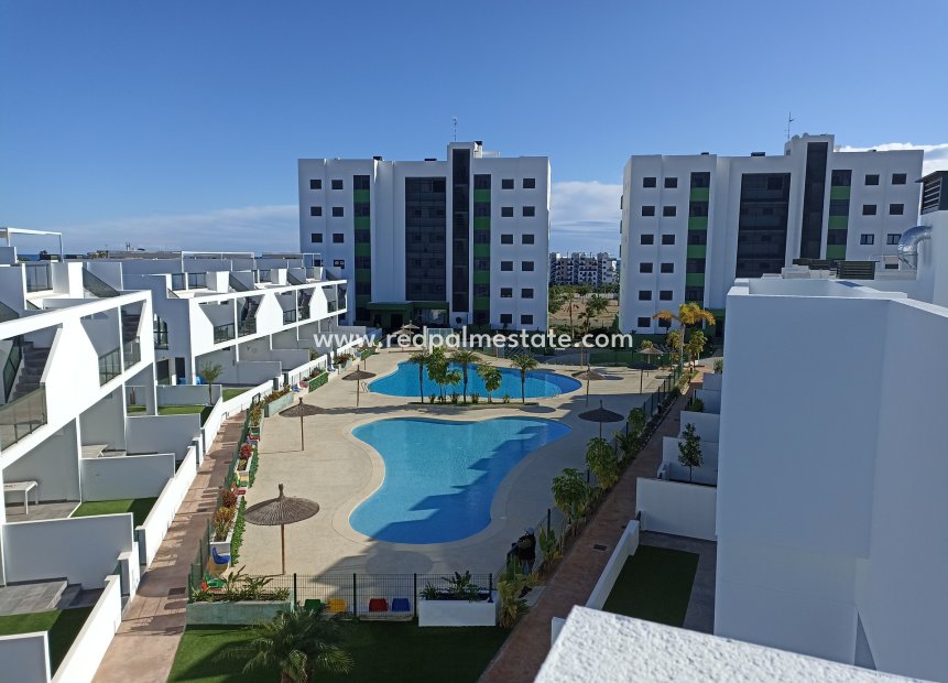 New Build - Bungalow -
Torre de la Horadada - Mil Palmeras