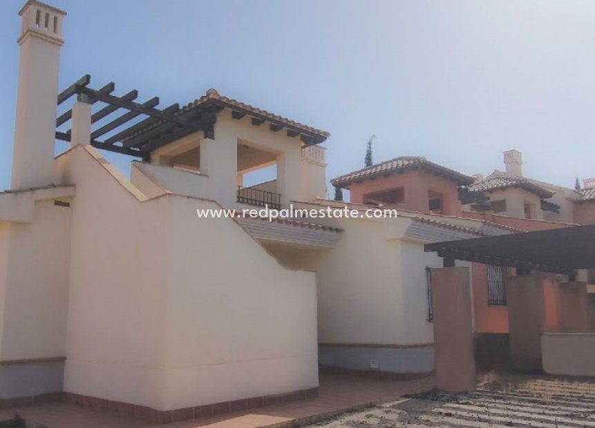 New Build - Detached Villa -
Fuente Álamo - Las Palas