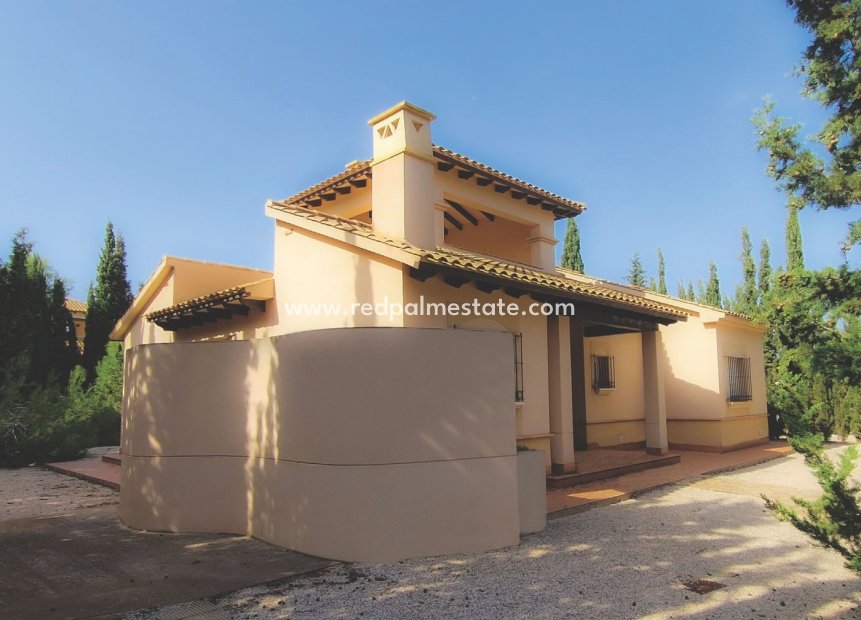 New Build - Detached Villa -
Fuente Álamo - Las Palas