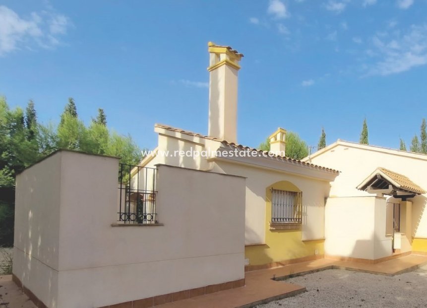 New Build - Detached Villa -
Fuente Álamo - Las Palas